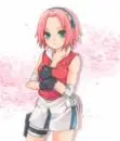 Sakura cute