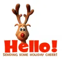 Raindeer