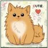 cute dog