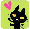 the cat