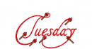 Tuesday