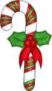 CANDY CANE