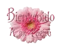 Bienvenido a mi Pagina