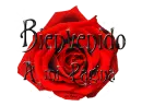 Bienvenido a Mi Pagina