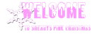 welcome to sherry's pink christmas