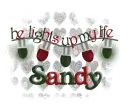 Sandy-lights up my life