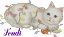 Trudi