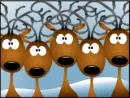 reindeer