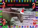 Merry Christmas!!!!