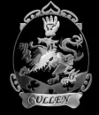 Team Cullen
