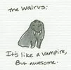 Walrus