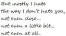 I don't hate you at all