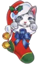 stocking kitten blinks