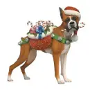 BOXER DOG