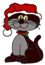 CAT WITH A SANTA HAT ON