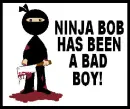Bad Ninja