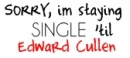 Single Twilight