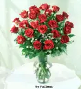 Red Roses