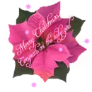 BABY GIRL CONGRATS, MERRY CHRISTMAS. 