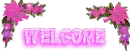 PINK POINSETTIA WELCOME