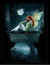 night fairy