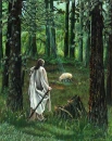 LOST SHEEP