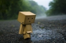 Danbo