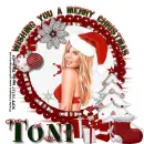 Wishing you a Merry Christmas...Toni
