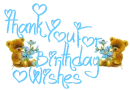 Thank You For The Birthday Wishes