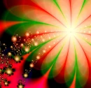 christmas flower
