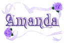 purple roses amanda