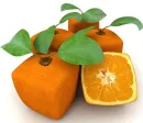 GMO
