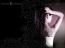 Untamed Background