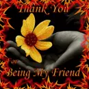 thank you for being my friend