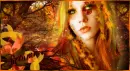 the forrest in autumn