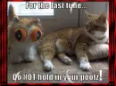 for the LAST time!!!