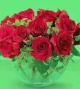 Red Roses in Water