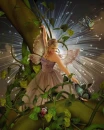 FOREST FAIRY