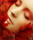 Beauty