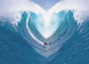 Water Love