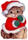 Kitten Santa