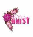 Daisy