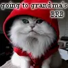 red ridinghood kitty
