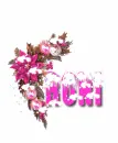 RONI