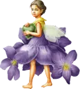 Little Fairy