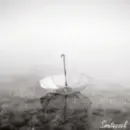 raining day 