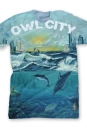Owl City