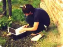 Owl City