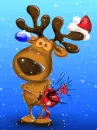 cold reindeer