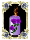 candle purple roses diamonds